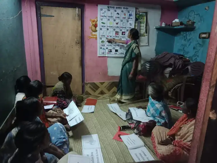 ପ୍ରୋଢଶିକ୍ଷାନ୍‌